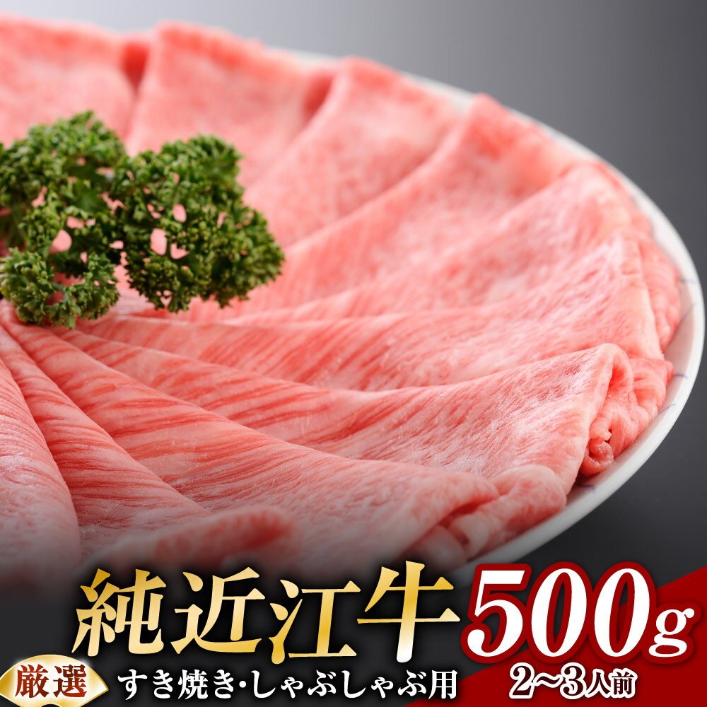 近江牛 【ふるさと納税】【 最高級 近江牛 】厳選 すき焼き ・ しゃぶしゃぶ 用 500g 2人～3人前 ブランド牛 牛肉 高級 人気 国産 楽天 寄付 返礼品 お歳暮 ギフト プレゼント お祝い 贈り物 ふるさと納税 近江 東近江 F19 安田牧場