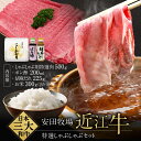 特選しゃぶしゃぶセット(しゃぶしゃぶ用特選肉、ポン酢、ごまだれ、お米) 安田牧場 滋賀県 東近江市 D-B11 しゃぶしゃぶ しゃぶしゃぶセット ポン酢 ごまだ...