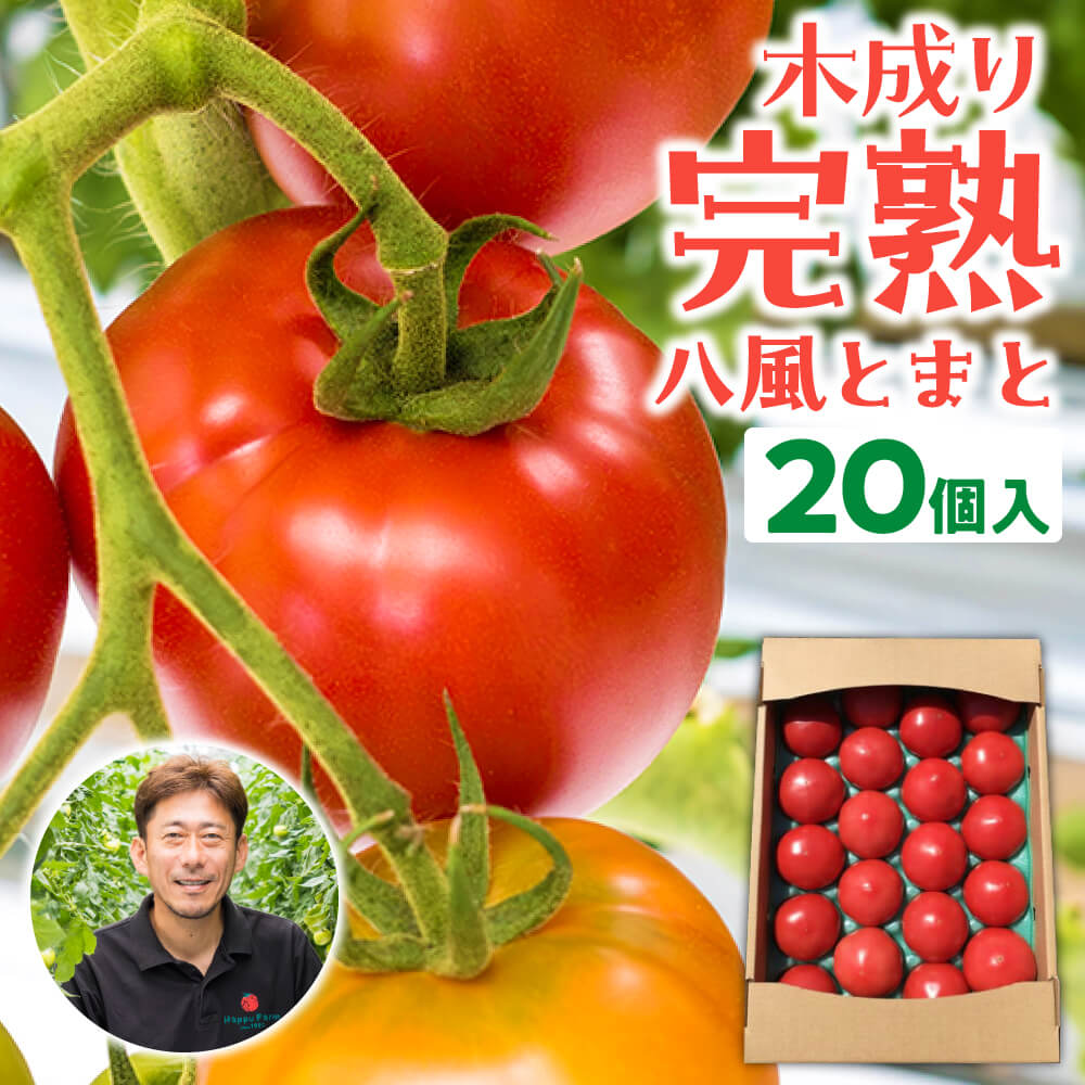 13位! 口コミ数「0件」評価「0」 木成り完熟八風とまと（20個入） トマト とまと 野菜 料理 楽天 返礼品 寄付 お歳暮 お祝い 贈り物 故郷納税 滋賀県 近江 東近江 ･･･ 