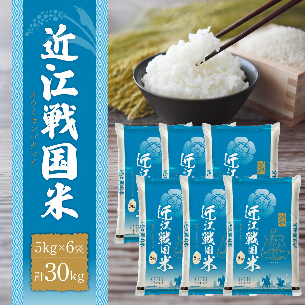 【ふるさと納税】滋賀県産 近江戦国米 30kg 5kg×6袋 中川吉兵衛商店 滋賀県 東近江市 H-D04 米 お米 30kg ブレンド米 ミルキークイーン コ...