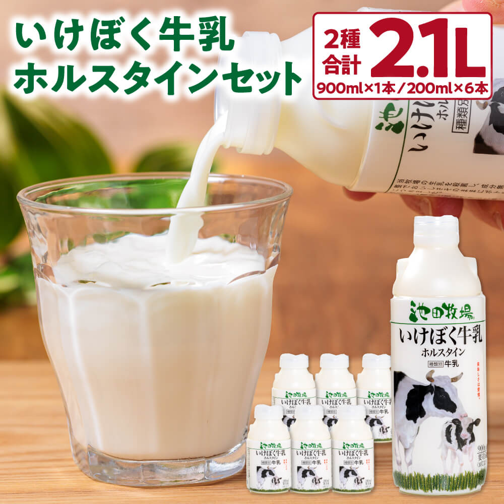 【ふるさと納税】 いけぼく牛乳ホルスタインセット 牛乳 ホルスタイン牛乳 楽天 寄付 返礼品 お歳暮 ギフト プレゼント お祝い 贈り物 ふるさと納税 滋賀県 東近江 近江 O-G01 有限会社池田牧場