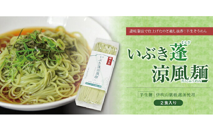 【ふるさと納税】いぶき蓬（よもぎ）涼風麺 6人前 麺類 半生そうめん 素麺 そうめん
