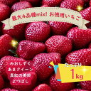 【ふるさと納税】【本州限定】たっぷり最大5品種ミックス お徳用いちご 1kg超入り 【 果物類 いちご フルーツ 果物 】 お届け：2024年1月上旬～5月下旬ごろ