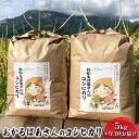 2位! 口コミ数「0件」評価「0」【5kg×3か月連続お届け】おかるばあさんのコシヒカリ　【定期便・ お米 コシヒカリ 米 】