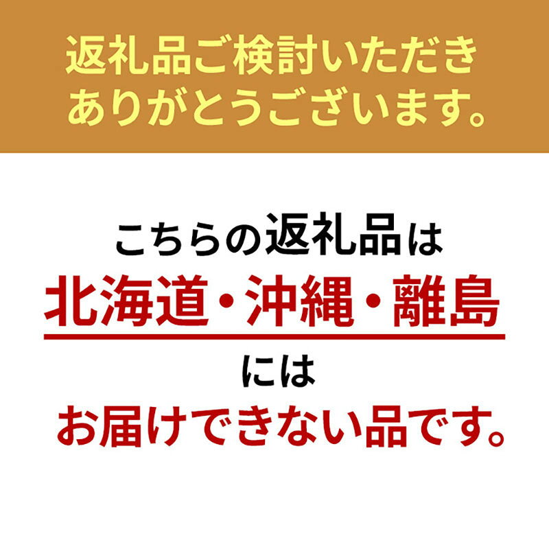 【ふるさと納税】ドクターシールド 防ダニ制菌 掛布団シングル(gekiy-0021)