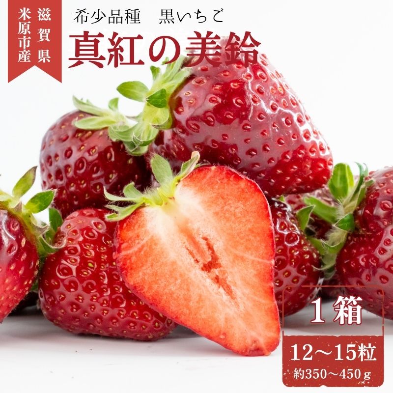 希少品種黒色いちご「真紅の美鈴(しんくのみすず)」1箱 ※1月中旬より順次配送 いちご イチゴ 苺 果物 フルーツ 滋賀県 米原市 お届け:2027年1月中旬〜4月末