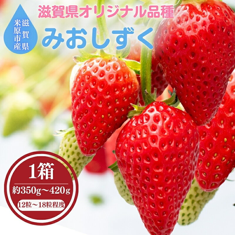 滋賀県オリジナルいちご「みおしずく」※1月中旬より順次配送 いちご イチゴ 苺 果物 フルーツ 滋賀県 米原市 お届け:2027年1月中旬〜4月末