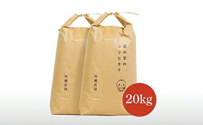 【ふるさと納税】【令和8年産新米】蛍の里のコシヒカリ　20kg　お届け：2026年10月以降順次発送 f252140-maibara-10001010 滋賀県米原市 サンプル画像2