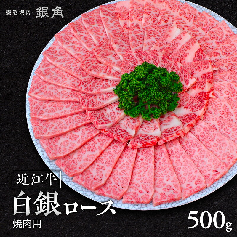 [近江牛]白銀ロース 焼肉用 500g 牛肉 お肉 国産 和牛 近江牛 滋賀県 米原市 お届け:2026年12月以降のお届けとなります。