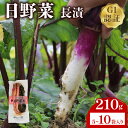 【ふるさと納税】 日野菜漬 長漬 210g 選べる 容量 5袋 〜 10袋 漬物 漬け物 惣菜 おかず ご飯 の お供 白米 にあう つけもの 甘酢漬け 伝統 ...