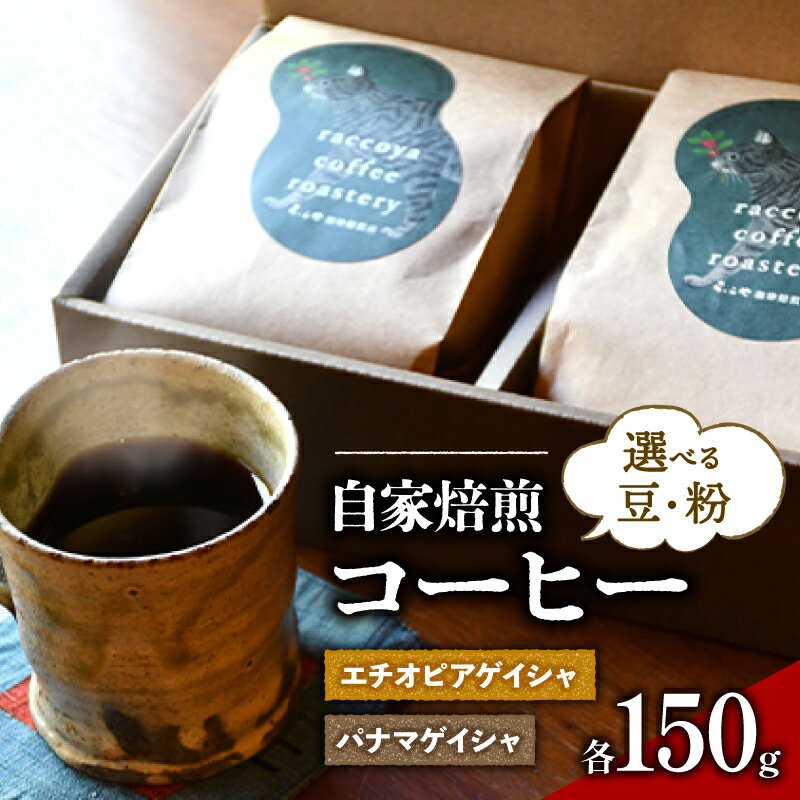 コーヒー 選べる 豆 or 粉 各 150g 計 300g 自家焙煎 珈琲 高級 豆 パナマゲイシャ & エチオピアゲイシャ コーヒー豆 スペシャリティコーヒー 珈琲豆 ドリップ 用 珈琲粉 おいしい プレゼント 父の日 おすすめ らっこや珈琲焙煎所 滋賀県 日野町 送料無料