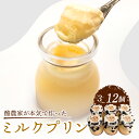 【ふるさと納税】 酪農家が本気で作った ミルク プリン 3個 6個 12個 ぷりん 牛乳 みるく ミルク MILK 卵 たまご スイーツ お菓子 おやつ ギフト プレゼント ミルクプリン 酪農 農家応援 セット なめらか 濃厚 美味しい 瓶入り 贈り物 土産 おすすめ 送料無料 滋賀県 日野町