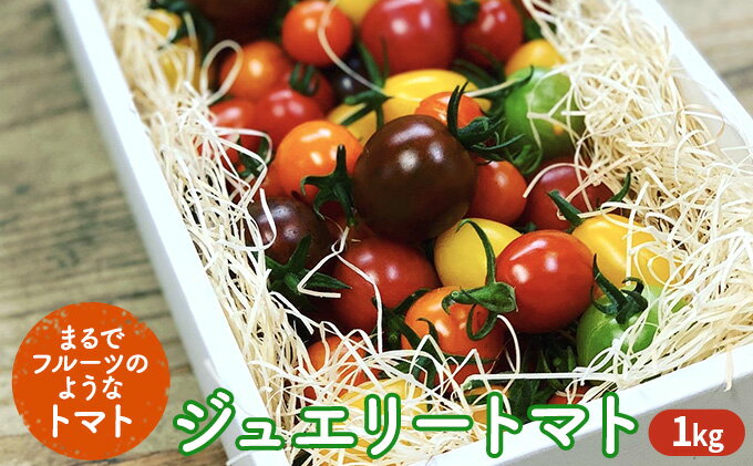 【ふるさと納税】ジュエリー トマト 1kg　【野菜 ミニトマト】　お届け：2023年10月上旬～2024年6月下旬