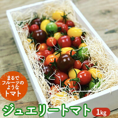 ジュエリー トマト 1kg [野菜 ミニトマト] お届け:2023年10月上旬〜2024年6月下旬