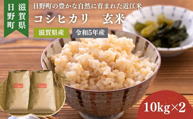 【ふるさと納税】【令和5年産】 コシヒカリ 玄米20kg　【玄米・お米・お米・コシヒカリ】　お届け：2024年7月末まで