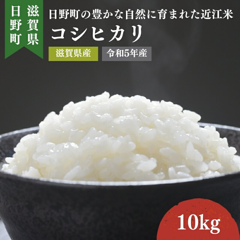 [令和5年産] コシヒカリ 白米10kg [お米・コシヒカリ] お届け:2024年7月末まで