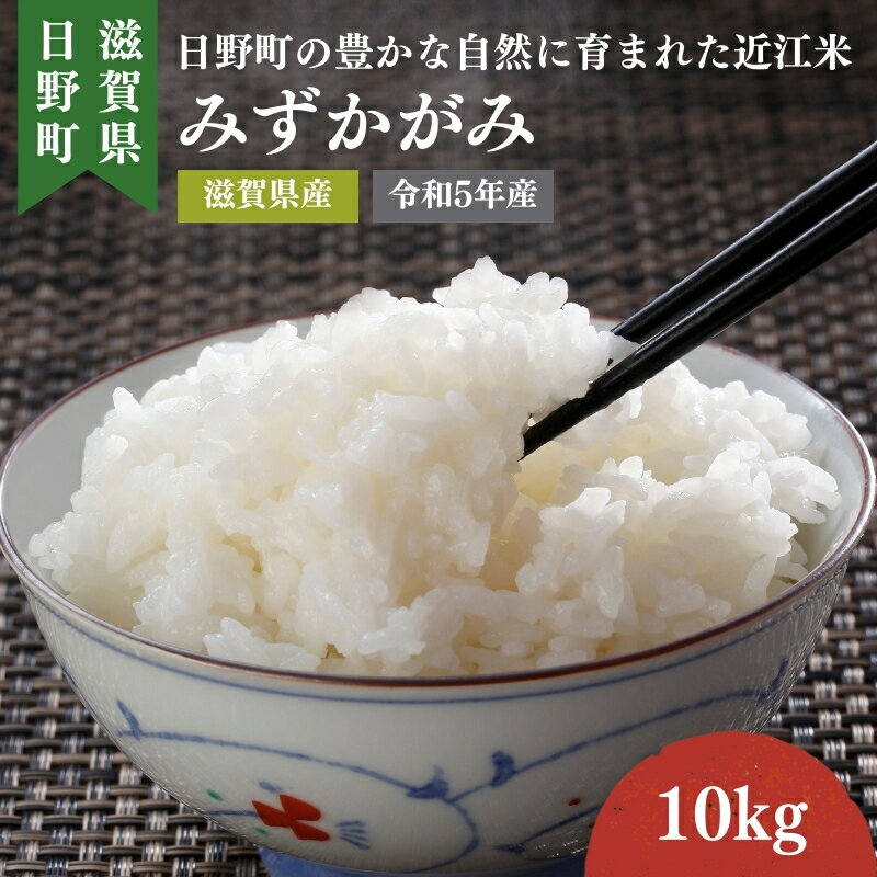 【ふるさと納税】【令和5年産】 みずかがみ 白米10kg　【