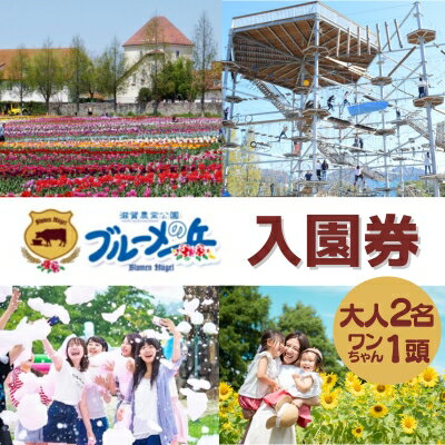 【ふるさと納税】滋賀農業公園 ブルーメの丘 大人2名 1名 2枚 ・ワンちゃん1頭 入園券 [ アトラクション 動物 ふれあい ファミリー 家族 旅行 犬 ペット ] 【 チケット 入場券 優待券 体験型 …