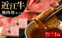 近江牛 【ふるさと納税】 【近江牛 焼肉用セット(肩ロース・バラ 1kg)】 肉 牛肉 ブランド牛 三大和牛 和牛 黒毛和牛 国産 バーベキュー 贈り物 ギフト プレゼント 冷凍 滋賀県 竜王