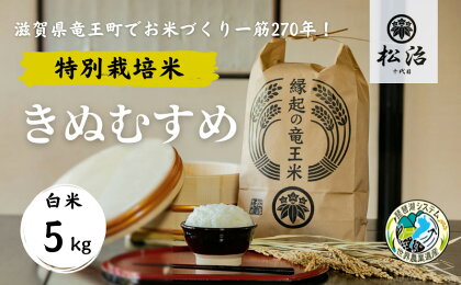 きぬむすめ 白米 5kg 縁起の竜王米 特別栽培米 ( 令和5年産 ブランド米 白米 精米 おこめ ご飯 270年続く お米 農家 ライス 環境 こだわり米 農家直送 ギフト 国産 滋賀県 竜王町 ふるさと納税 )