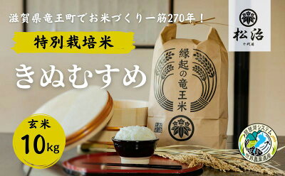 楽天ふるさと納税　【ふるさと納税】 きぬむすめ 玄米 10kg 縁起の竜王米 特別栽培米 ( 令和5年産 ブランド米 玄米 おこめ ご飯 270年続く お米 農家 ライス 環境 こだわり米 農家直送 ギフト 国産 滋賀県 竜王町 ふるさと納税 )