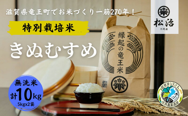 きぬむすめ 無洗米 5kg x 2袋 縁起の竜王米 特別栽培米 ( 令和5年産 ブランド米 無洗米 10kg おこめ ご飯 270年続く お米 農家 ライス 環境 こだわり米 農家直送 ギフト 国産 滋賀県 竜王町 ふるさと納税 )