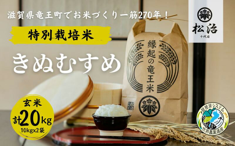 【ふるさと納税】 きぬむすめ 玄米 10kg x 2袋 縁起の竜王米 特別栽培米 ( 令和5年産 ブランド米 玄米 20kg おこめ ご飯 270年続く お米 農家 ライス 環境 こだわり米 農家直送 ギフト 国産 滋賀県 竜王町 ふるさと納税 )