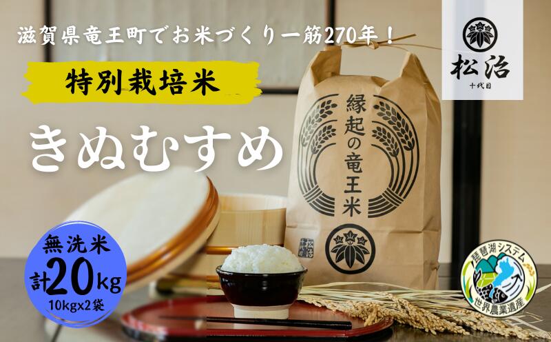 【ふるさと納税】 きぬむすめ 無洗米 10kg x 2袋 縁起の竜王米 特別栽培米 ( 令和5年産 ブランド米 無洗米 20kg おこめ ご飯 270年続く お米 農家 ライス 環境 こだわり米 農家直送 ギフト 国産 滋賀県 竜王町 ふるさと納税 )