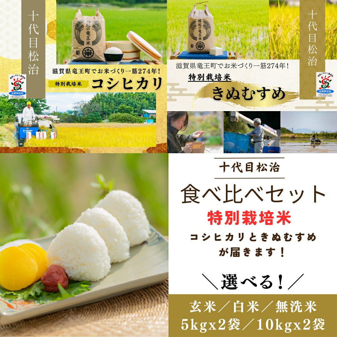 【ふるさと納税】 新米予約 令和6年産 2品種 こしひかり きぬむすめ 食べ比べ 選べる 【 容量 】【 精米具合 】 5kg 10kg 2袋 白米 玄米 無洗米 ( 米 特別栽培米 環境こだわり ブランド米 精米 お米 こめ おこめ 滋賀県 竜王町 )