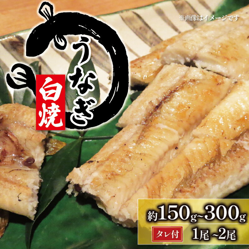 国産 うなぎ 白焼き 1尾 ~ 2尾 150g ~ 300g ( 冷凍 グルメ うなぎ 白焼 鰻 新鮮 たれ 土曜 丑の日 真空パック おすすめ 滋賀県 竜王町 送料無料 )