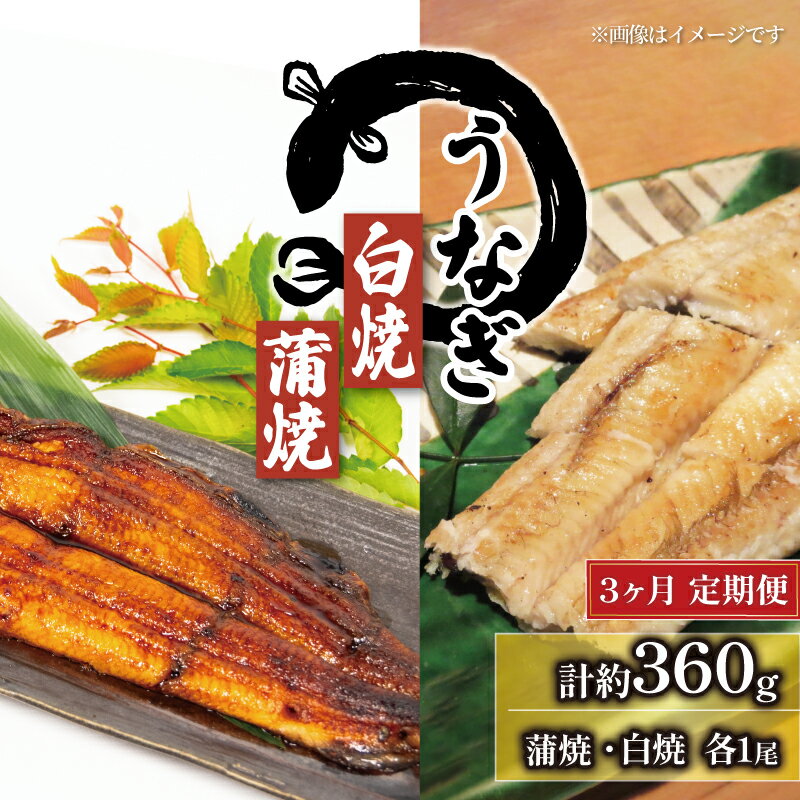 【ふるさと納税】 3回 定期便 国産 うなぎ 蒲焼 白焼 セット 180g × 2尾 タレ付 ( 冷凍 計360g 3ヶ月 ..