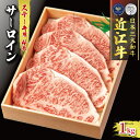 【ふるさと納税】 近江牛 サーロイン ステーキ 250g × 4 冷凍 ( 肉 三大和牛 計 1000g 1kg 黒毛和牛 A4 A5 霜降り 和牛 牛肉 ブラ...