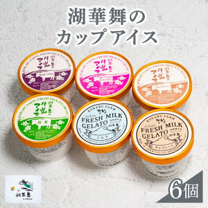 【ふるさと納税】 カップアイス 6個入 ジェラート 冷凍 6種 抹茶 ミルク チョコレート ラムレー...