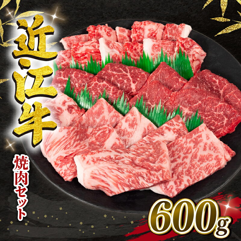 近江牛 焼肉 セット 600g 冷凍 黒毛和牛 和牛 牛肉 ブランド 三大和牛 焼き肉 ロース 赤身 カルビ 贈り物 ギフト 滋賀県 竜王町 岡喜