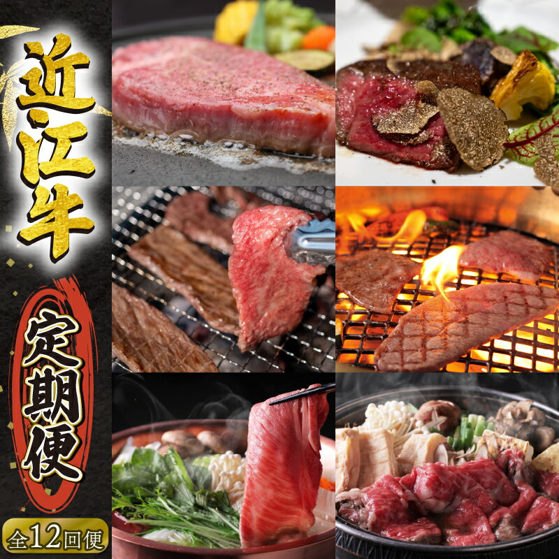 【ふるさと納税】 近江牛 定期便 12回 ステーキ 焼肉 カ