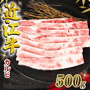 【ふるさと納税】 近江牛 カルビ 500g 冷凍 黒毛和牛 ブランド牛 牛肉 和牛 日本 三大和牛 惣菜 おかず カルビ 霜降り バラ肉 贈り物 ギフト 国産 滋賀県 竜王町 岡喜 神戸牛 松阪牛 に並ぶ 日…