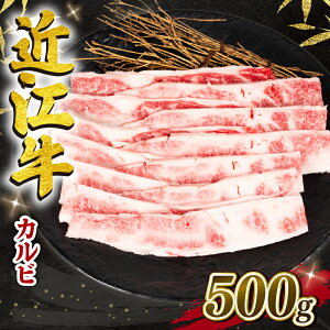 ڤդ뤵Ǽǡ Ṿ  500g  µ ֥ɵ  µ  µ ں   ߤ Х £ʪ ե  츩 εĮ  ͵  ¤ ܻµ դ뤵Ǽ