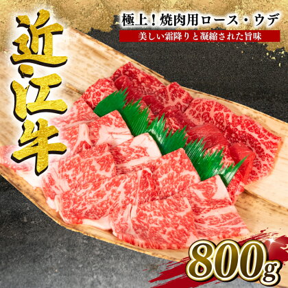 近江牛 特選 焼肉用 800g 冷凍 黒毛和牛 牛肉 焼肉 焼き肉 ロース ウデ 食べ比べ 霜降り 赤身 ブランド 三大和牛 贈り物 ギフト プレゼント 滋賀県 竜王 岡喜