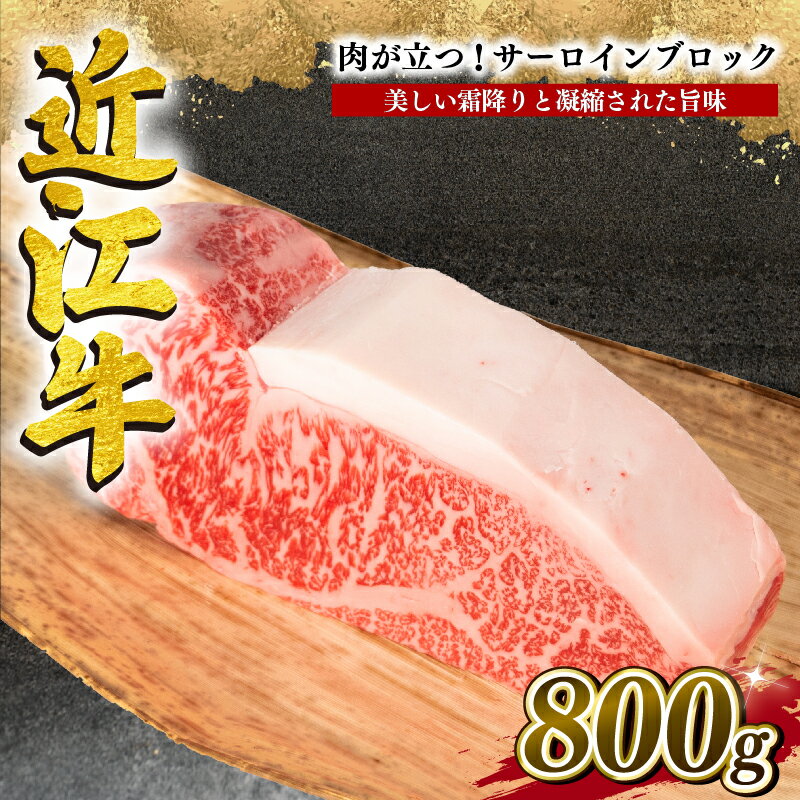 近江牛 サーロイン ブロック 800g 冷凍 黒毛和牛 牛肉 ステーキ ブランド 肉 近江牛 三大和牛 贈り物 ギフト プレゼント 滋賀県 竜王 岡喜