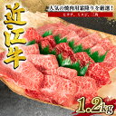 近江牛 【ふるさと納税】 近江牛 特選 焼肉用 1.2kg 冷凍 黒毛和牛 牛肉 焼肉 焼き肉 ブランド 近江牛 三大和牛 贈り物 ギフト プレゼント 滋賀県 竜王 岡喜