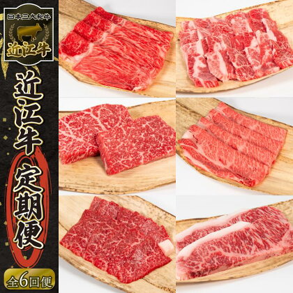 近江牛 定期便 6回 ステーキ 焼肉 カルビ モモ バラ 肩ロース 赤身 サーロイン リニューアル 黒毛和牛 お弁当 ブランド 近江牛 毎月 三大和牛 滋賀県 竜王 岡喜 神戸牛 松阪牛 に並ぶ 日本三大和牛 ふるさと納税