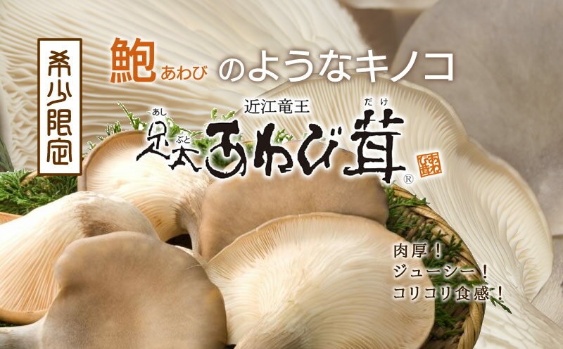 14位! 口コミ数「0件」評価「0」 あわび茸 生 500g 希少 きのこ 足太 あわび 茸 キノコ あわびだけ あわびたけ 国産 食材 健康 滋賀県 竜王町 送料無料 贈り物･･･ 