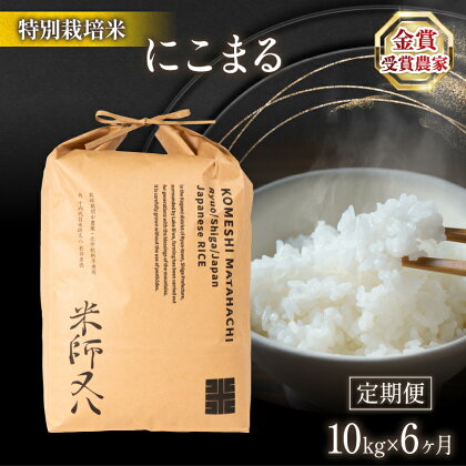 定期便 6回 にこまる 10kg × 6ヶ月 令和5年産 十六代目米師又八 謹製 ( ブランド 米 rice 精米 白米 ご飯 内祝い 十六代目米師又八 謹製 もちもち 国産 送料無料 滋賀県 竜王 ふるさと納税 )