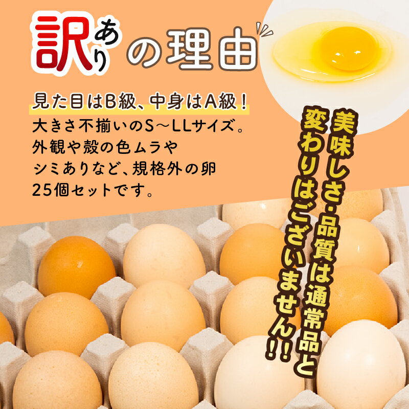 【ふるさと納税】 訳あり 卵 平飼い卵 有精卵 高級卵 盛り上がる卵白 滋賀竜王卵（ 選べる B級 20個 30個 25個 平飼い 高級 竜王町 玉子 5000円 定期便 2ヵ月 3ヶ月 6ヶ月 12ヶ月 半年 1年 割れ保証分各3個 純国産 鶏もみじ 大人気 希少 卵かけご飯 タマゴ 産地直送 ）