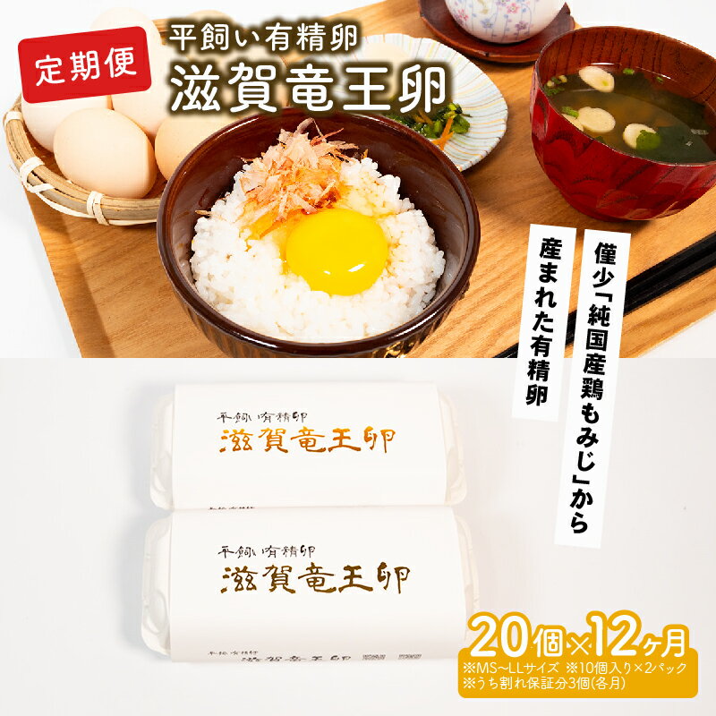 【ふるさと納税】 定期便 12回 たまご 20個 12ヵ月 計240個 卵 平飼い有精卵 滋賀県 竜王 玉子 生卵 鶏卵