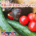 14位! 口コミ数「0件」評価「0」 定期便 3回 野菜 詰め合わせ セット 3ヶ月 約 5kg ( 常温 季節 旬 春野菜 夏野菜 秋野菜 トマト 人参 きゅうり なす玉ねぎ･･･ 