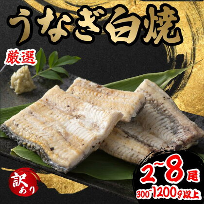 訳あり うなぎ 白焼き 1尾 150g以上 2尾 4尾 6尾 8尾 300g 600g 900g 1200g 鰻 さんしょう 入り 本格 うなぎ 2匹 冷凍 鰻 しらやき 簡易包装 白焼 うな丼 うな重 ひつまぶし 人気 惣菜 海鮮 贈答用 お歳暮 おせち お年賀 滋賀県 竜王町