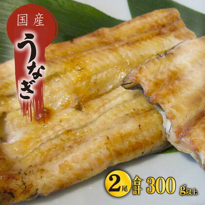 国産 うなぎ 白焼き 2尾 150g以上 × 2本入 計300g 以上 鰻 さんしょう 入り 本格 うなぎ 2匹 冷凍 鰻 しらやき 白焼 うな丼 うな重 ひつまぶし 人気 惣菜 海鮮 贈答用 お歳暮 おせち お年賀 滋賀県 竜王町