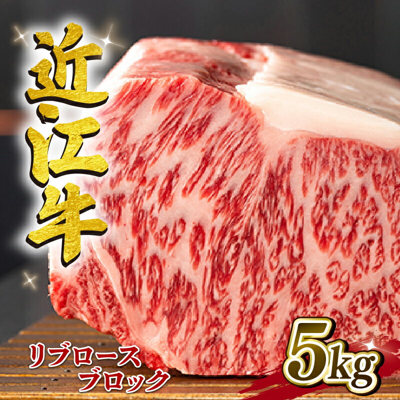 【ふるさと納税】 近江牛 リブロースブロック 5kg A4 ~ A5 ランク 竜王町ふるさと納税 限定の返礼品 毛..