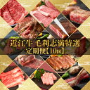 【ふるさと納税】 定期便 近江牛 食べ比べ 全10回 焼肉 すき焼き しゃぶしゃぶ サーロイン ステーキ 赤身 霜降り 定期便 肉 黒毛和牛 お弁当 ブランド ...
